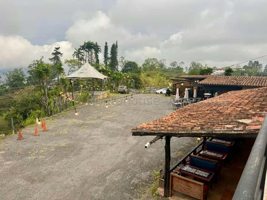 View 11