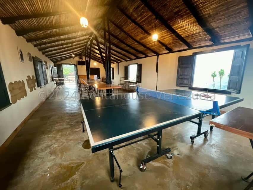 View 14