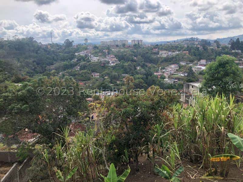 View 45