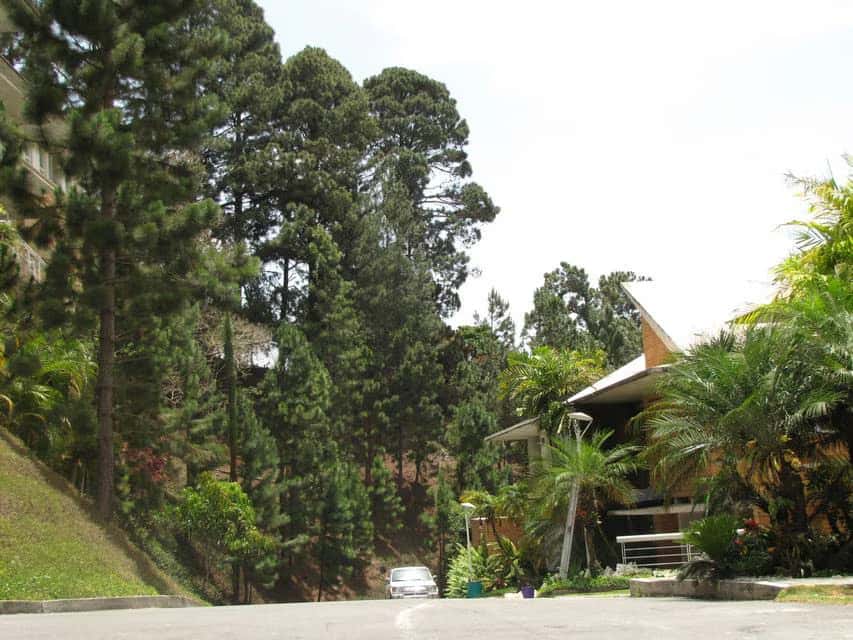 Vista 2