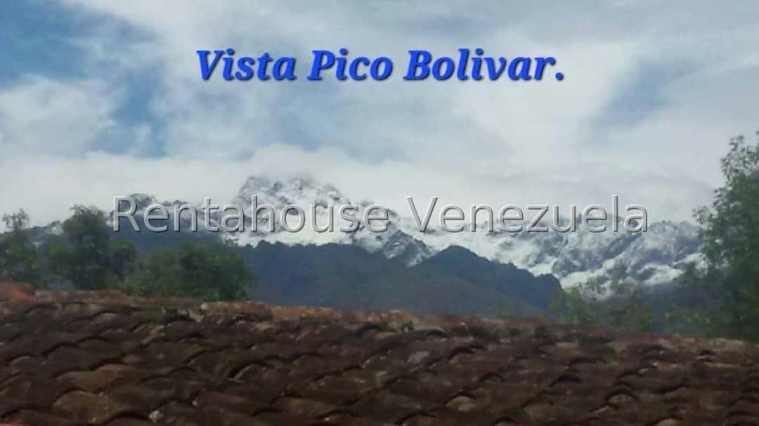 Vista 39