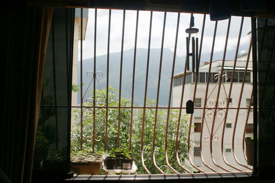 View 25