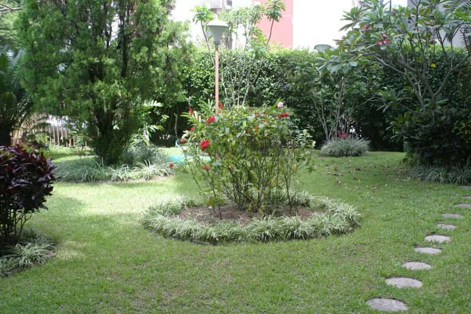 View 27