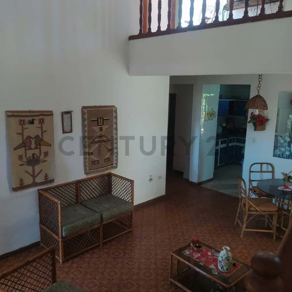 Vista 3