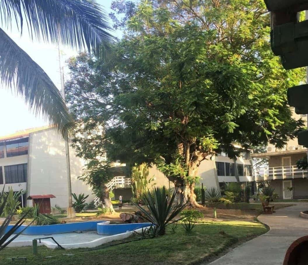 Vista 12