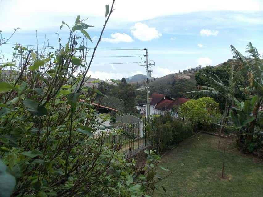 View 14