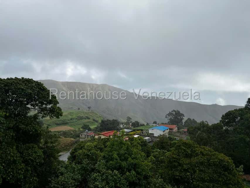 Vista 9