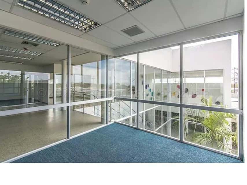 Vista 5