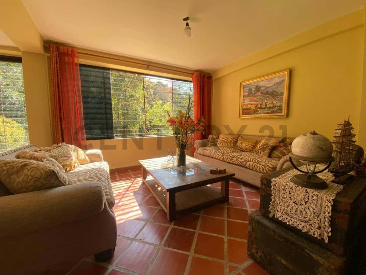 Vista 2
