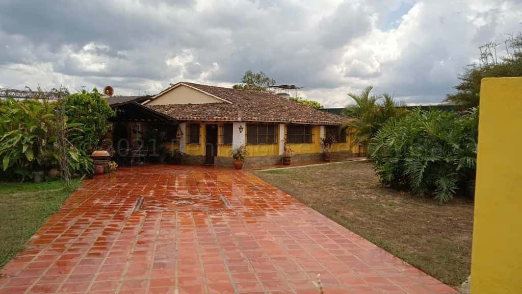 Vista 1
