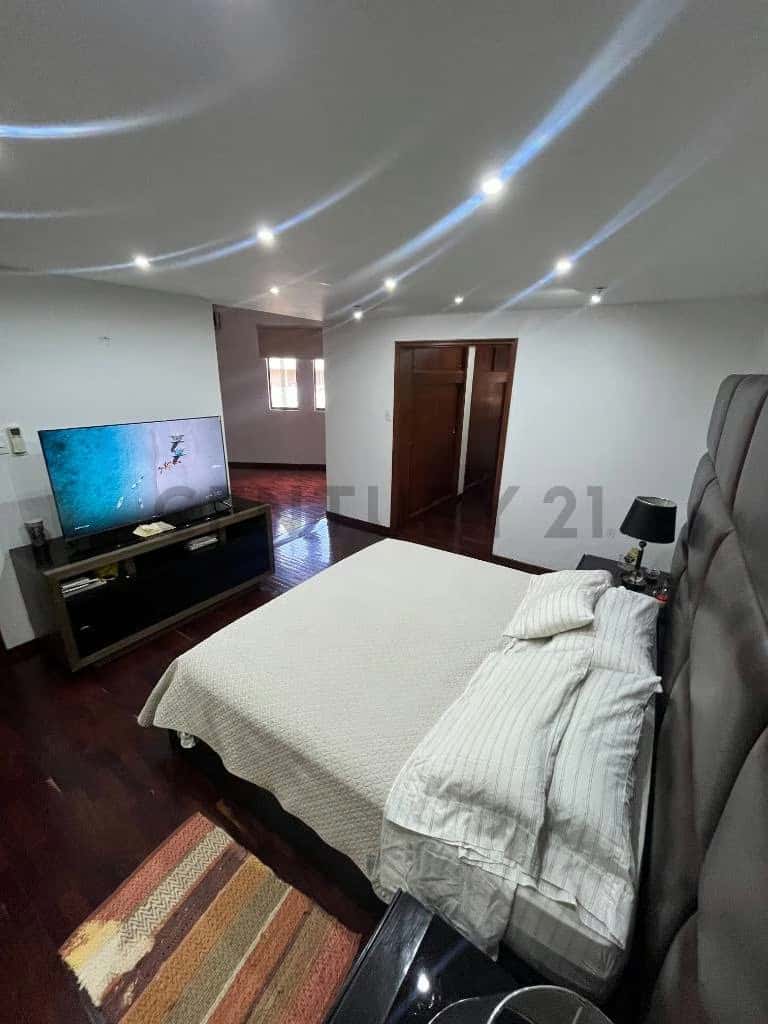 Vista 6