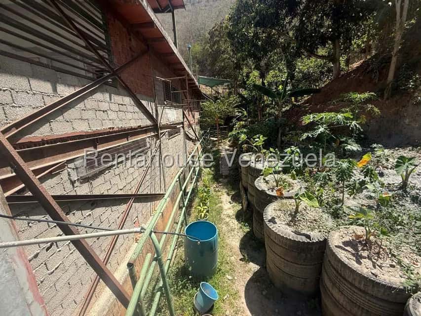 View 23