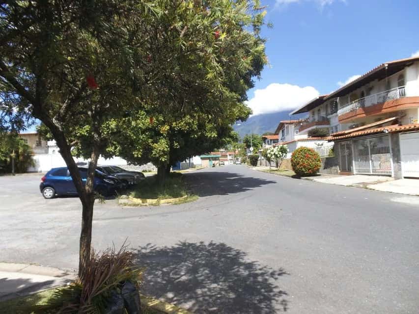 Vista 3