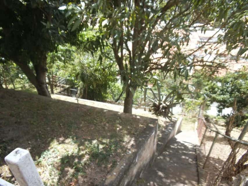 Vista 21