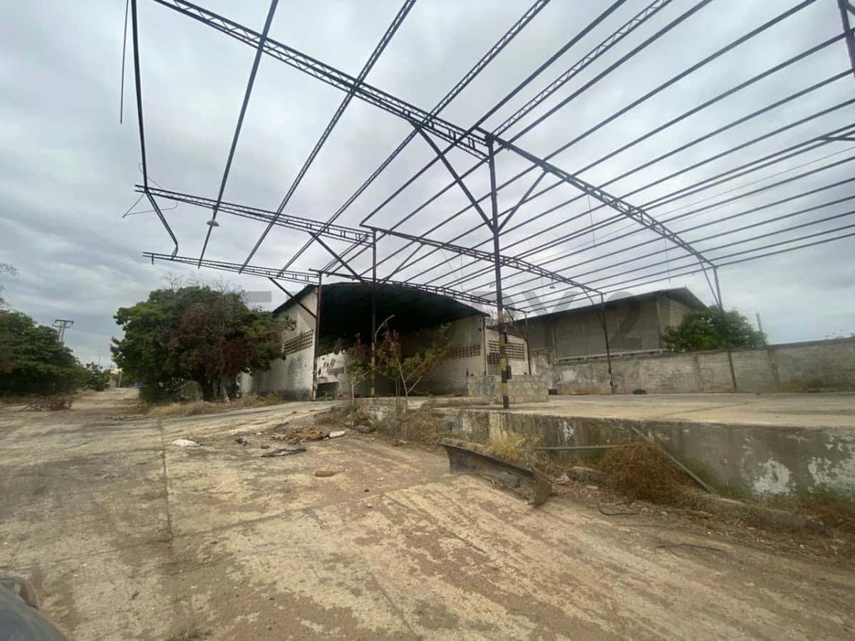 View 7