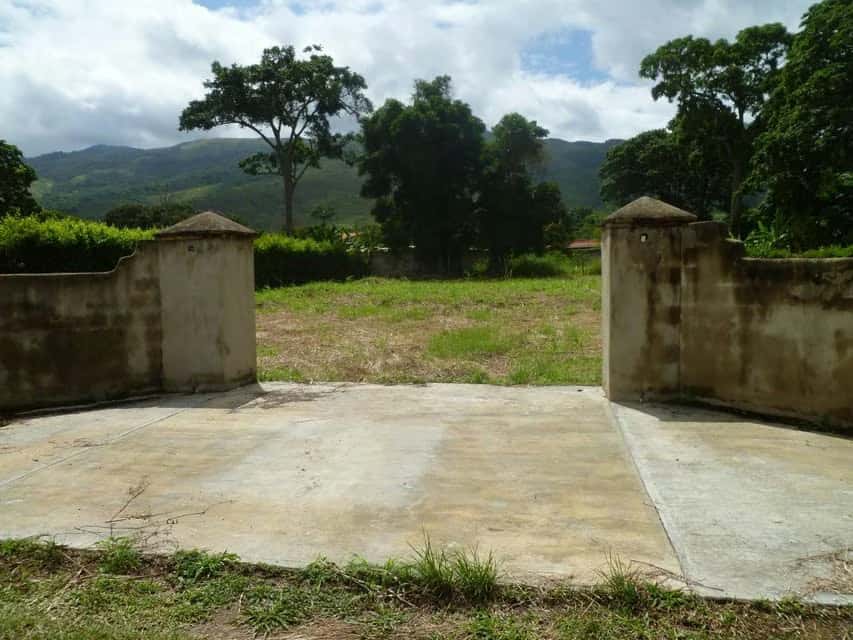 View 1