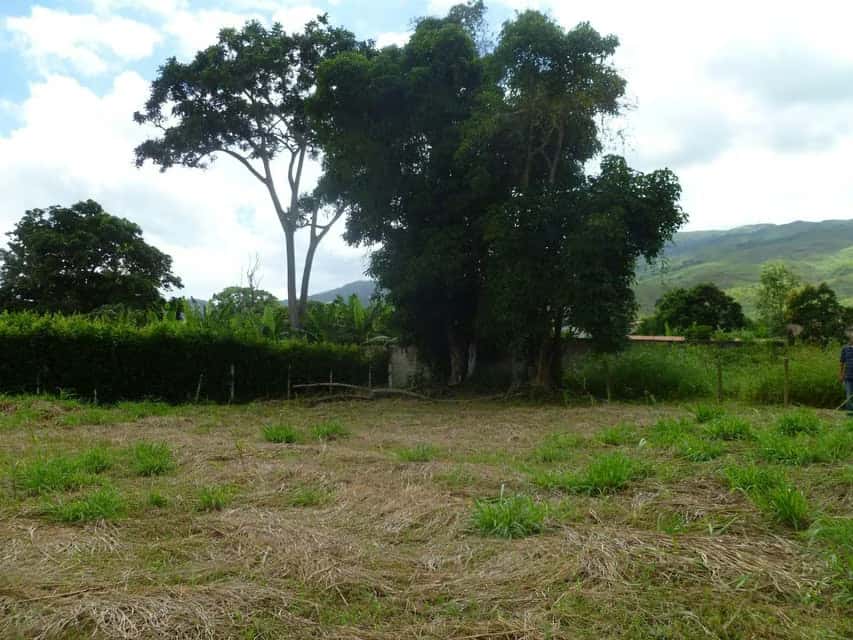 View 12
