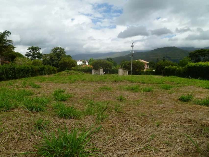 View 15