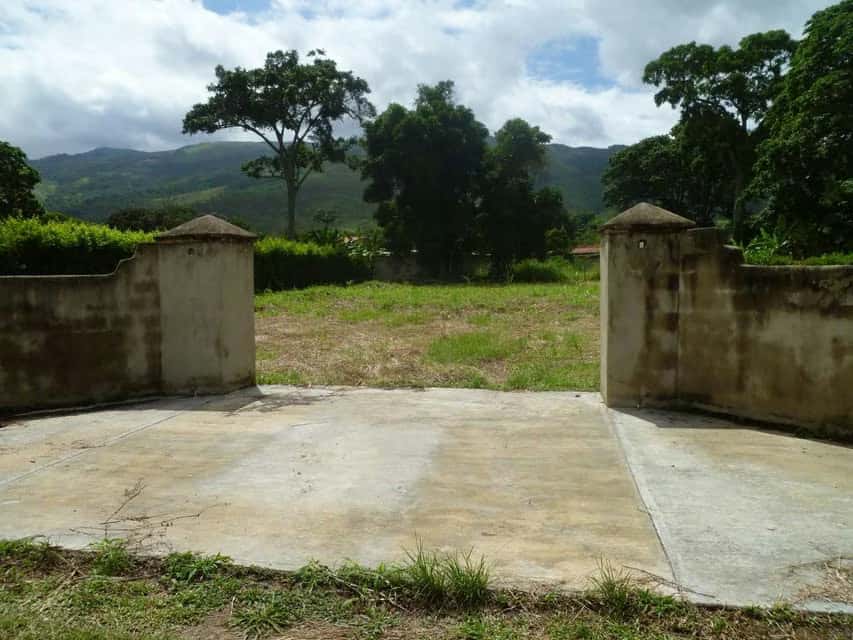View 16