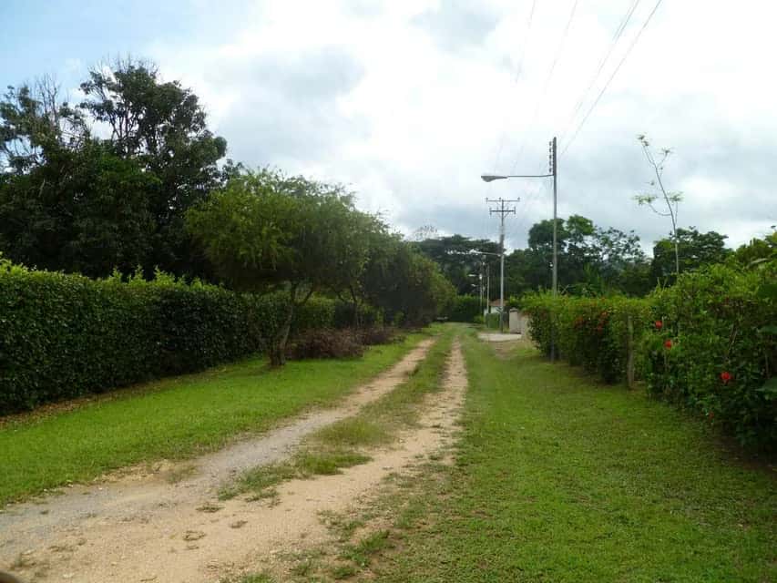 View 17