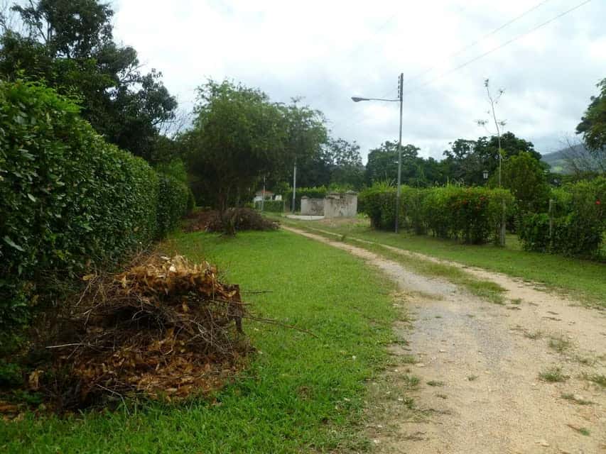 View 18