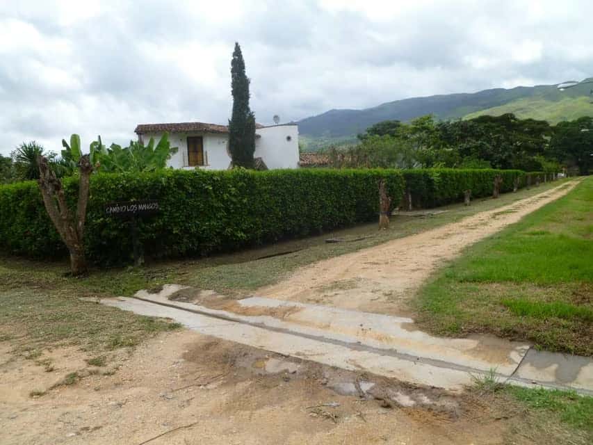 View 19