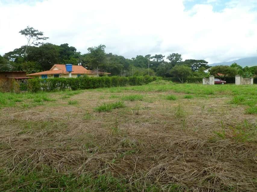 View 10