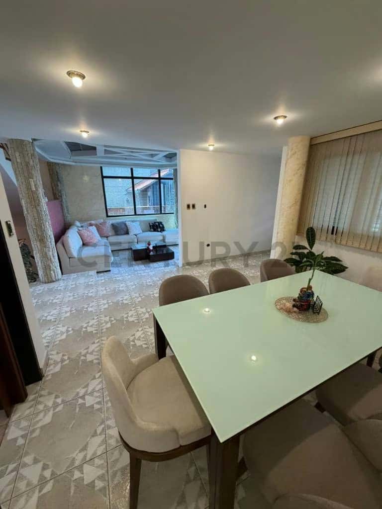 Vista 3