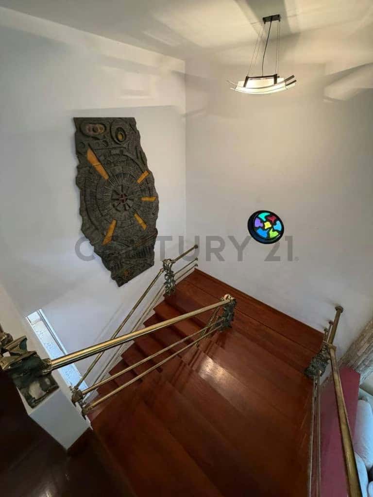 Vista 6