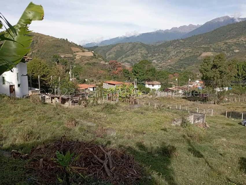 View 11