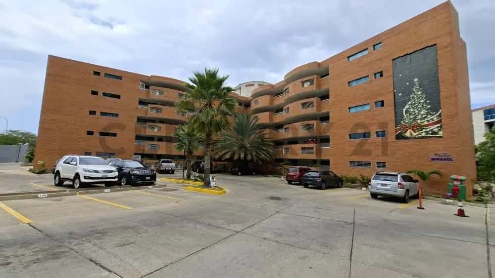 Vista 16