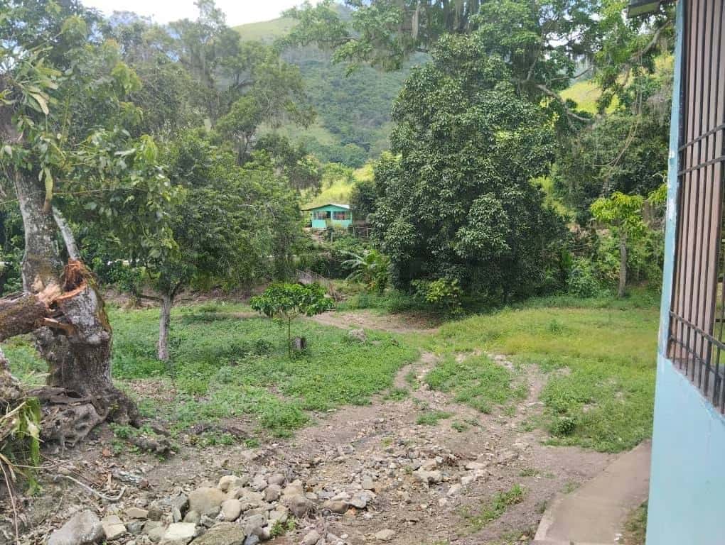 Vista 13