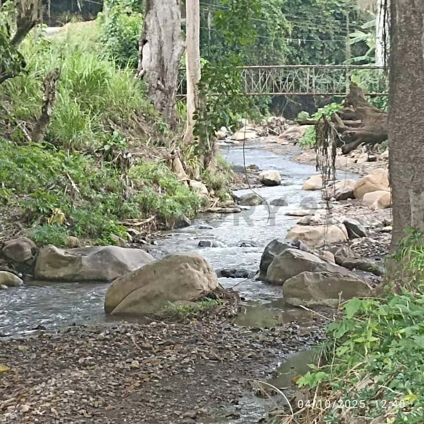 Vista 14