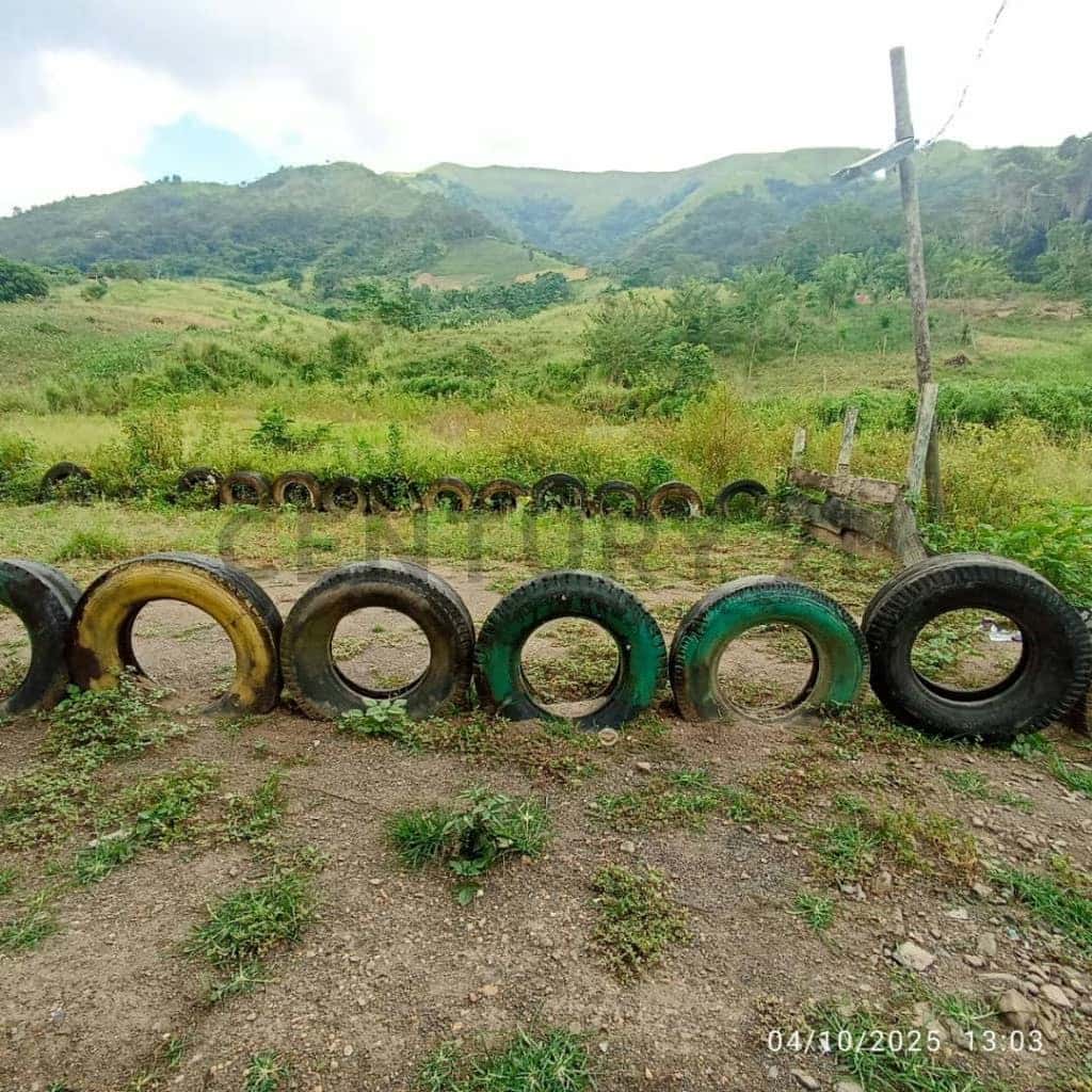 Vista 10