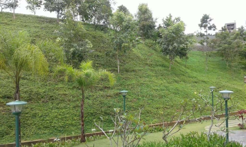 View 2