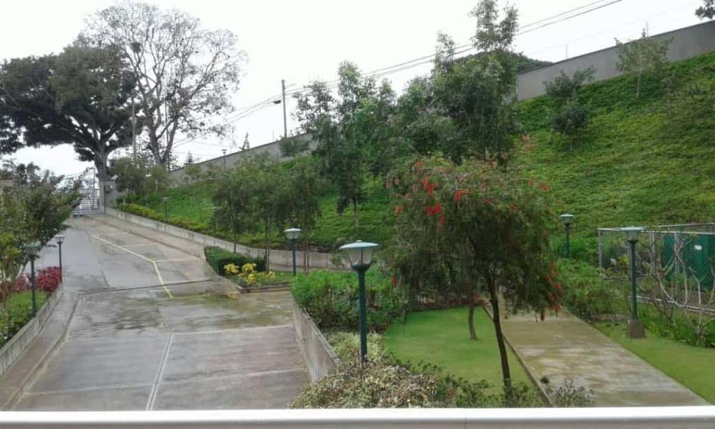 View 11