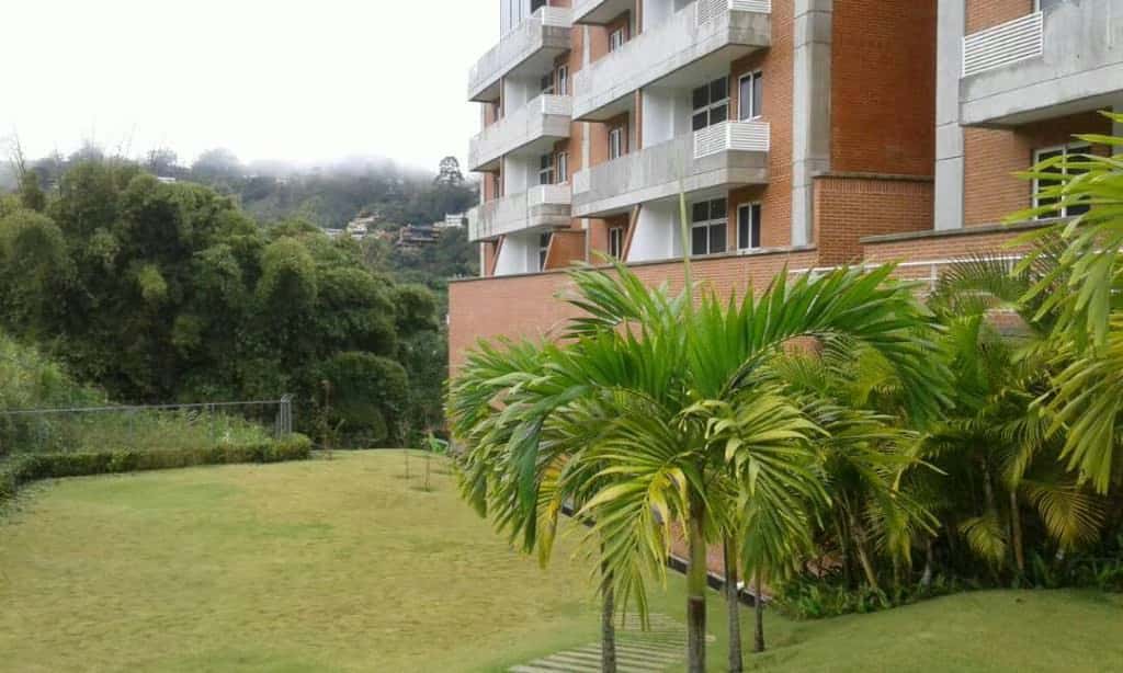 View 5