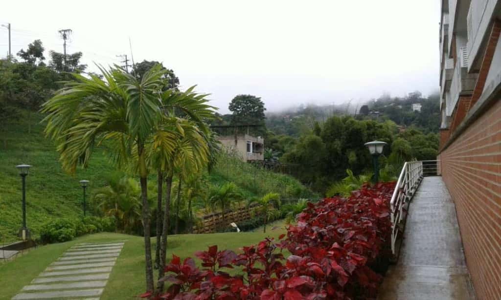 View 6