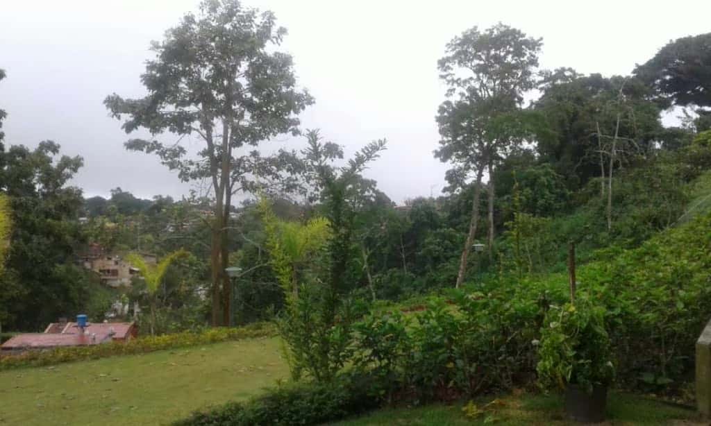 View 9