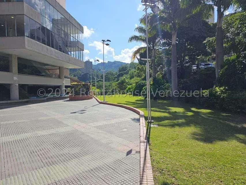 Vista 19