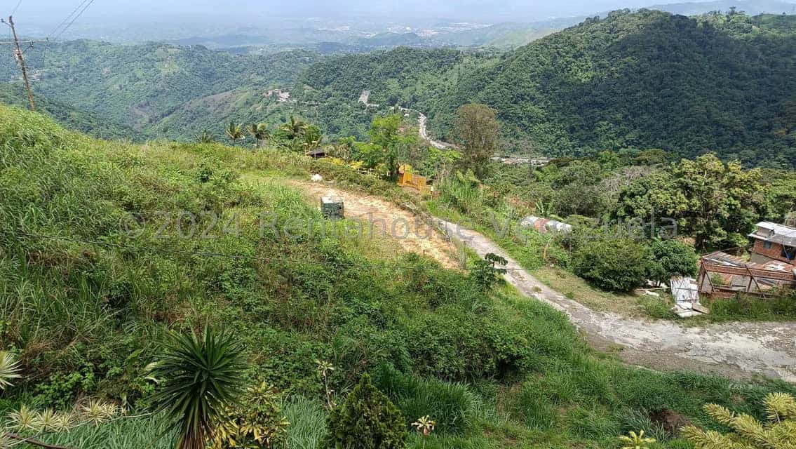 View 2