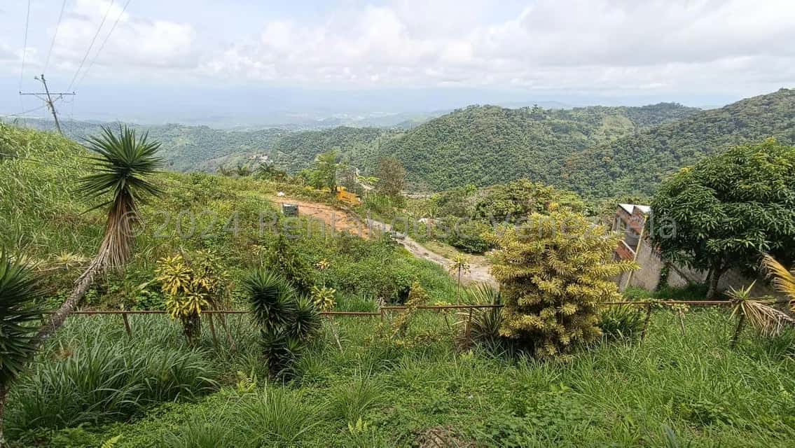 View 11