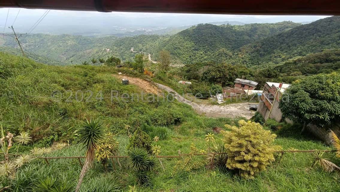 View 5
