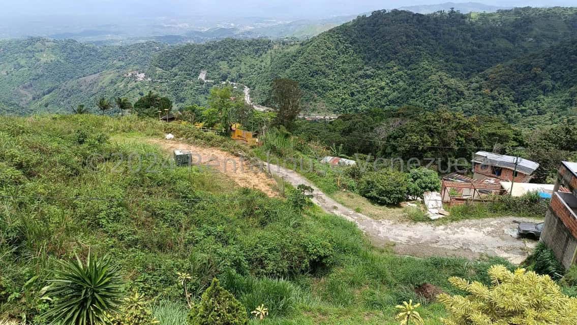 View 6