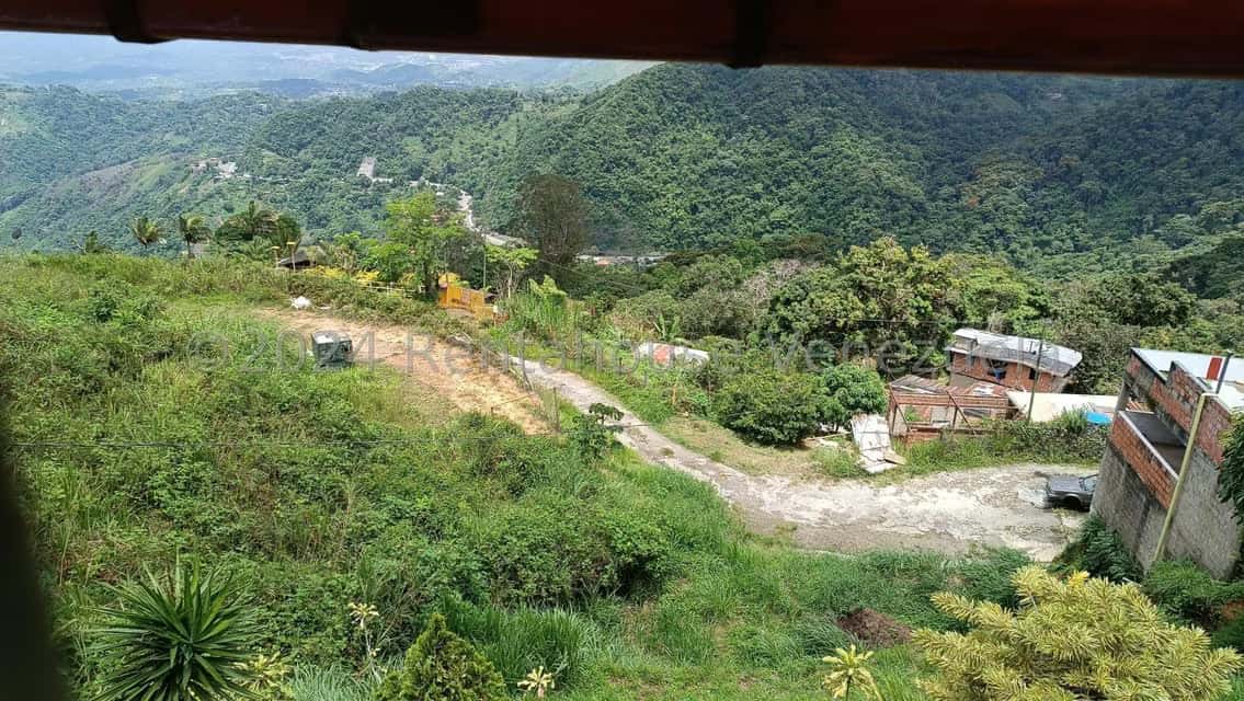 View 7
