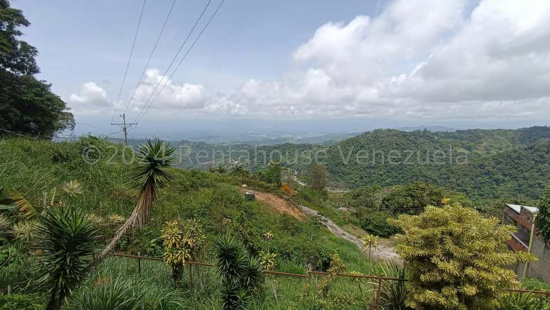 View 8