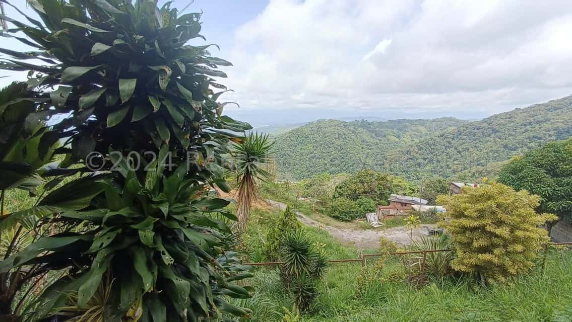 View 10