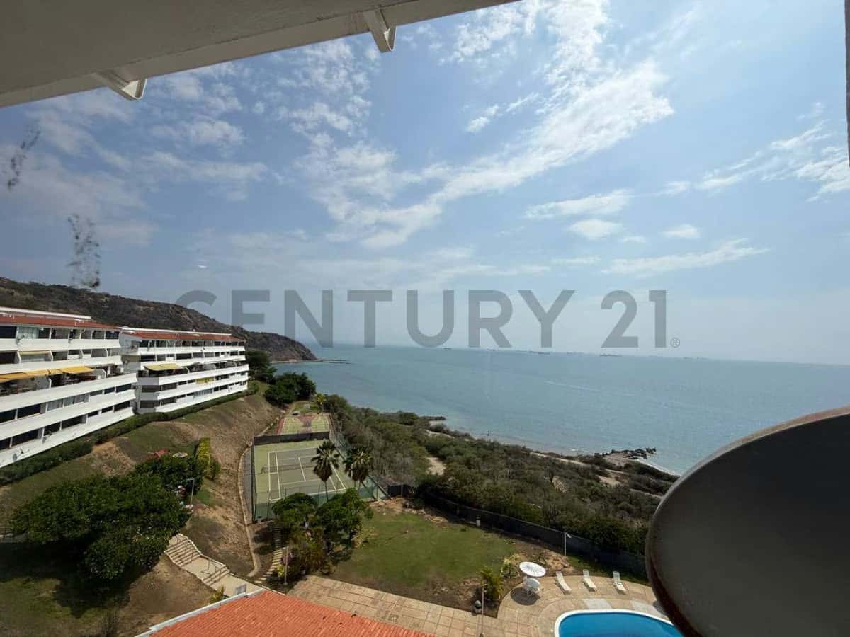 View 29
