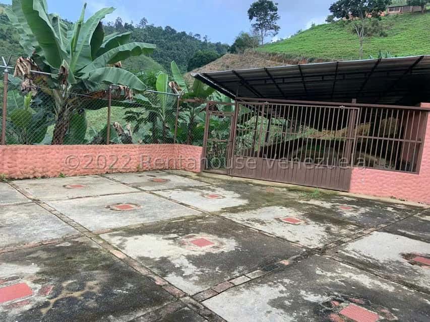 View 16