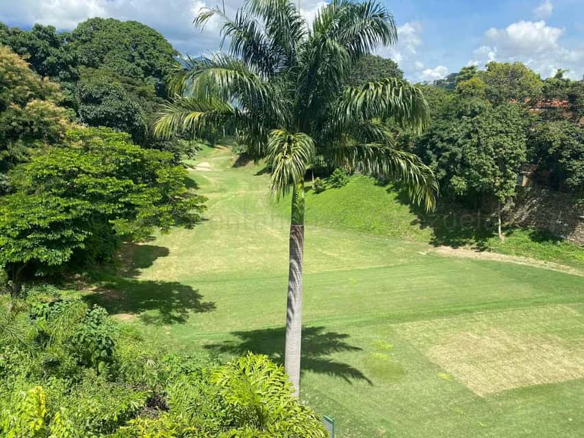 View 18